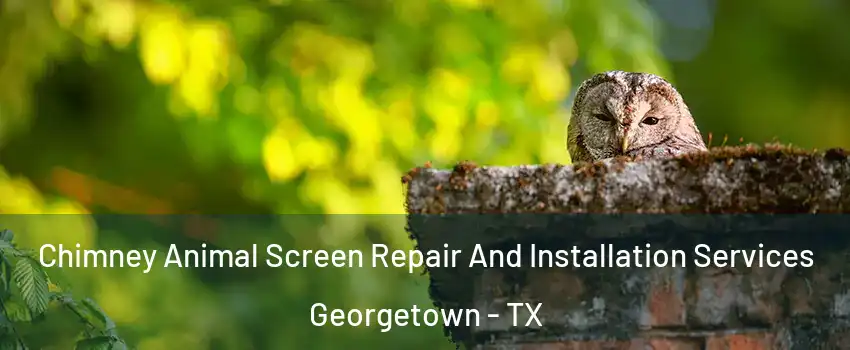  Chimney Animal Screen Repair And Installation Services Georgetown - TX