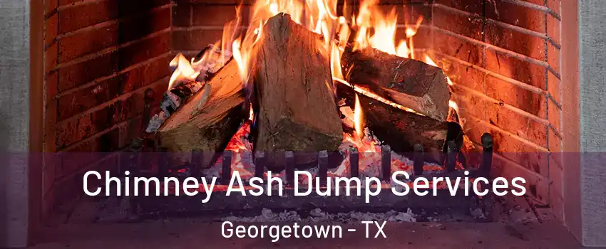  Chimney Ash Dump Services Georgetown - TX