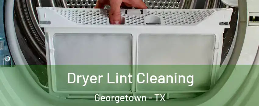  Dryer Lint Cleaning Georgetown - TX