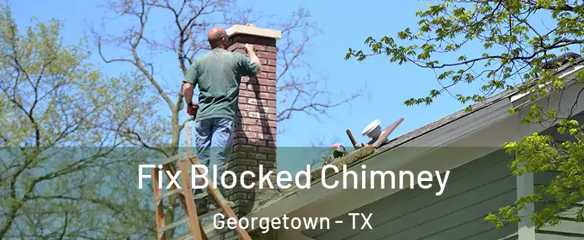  Fix Blocked Chimney Georgetown - TX