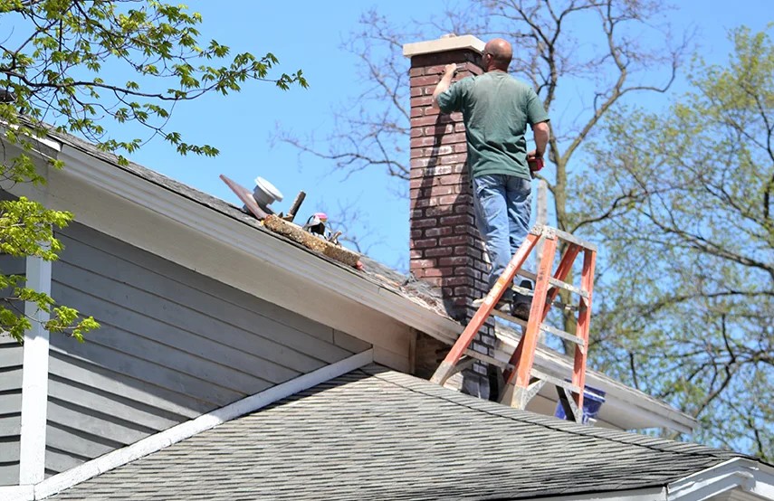 Chimney & Fireplace Inspections Services in Georgetown, TX