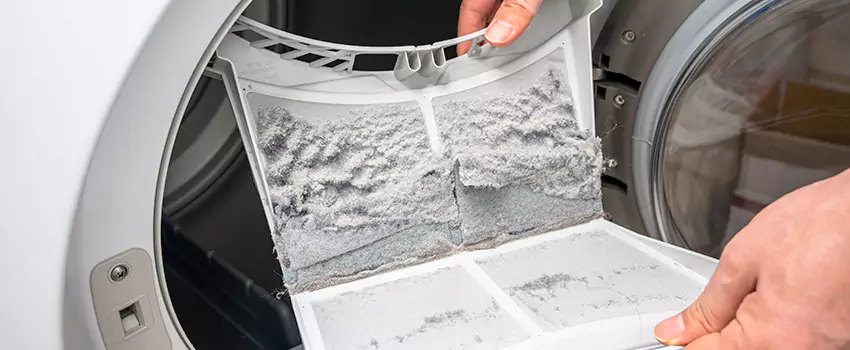 Best Dryer Lint Removal Company in Georgetown, Texas