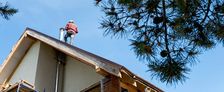 Birds Removal Contractors from Chimney in Georgetown, TX