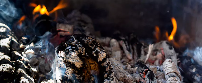 Creosote Removal Experts in Georgetown, TX