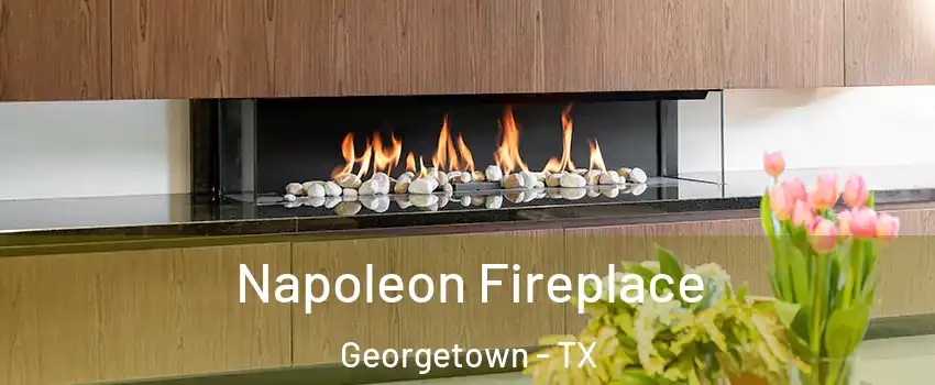  Napoleon Fireplace Georgetown - TX